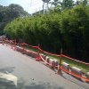 IMAGEN OBRA